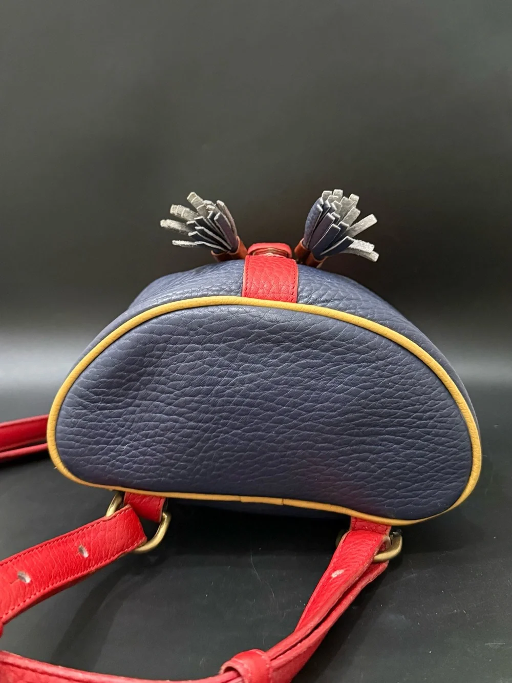 Rare Vintage DOONEY & BOURKE Teton AWL Lipstick Red Navy Yellow Leather Backpack